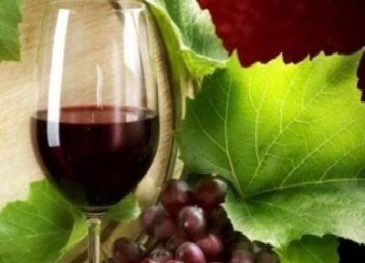 Vinos